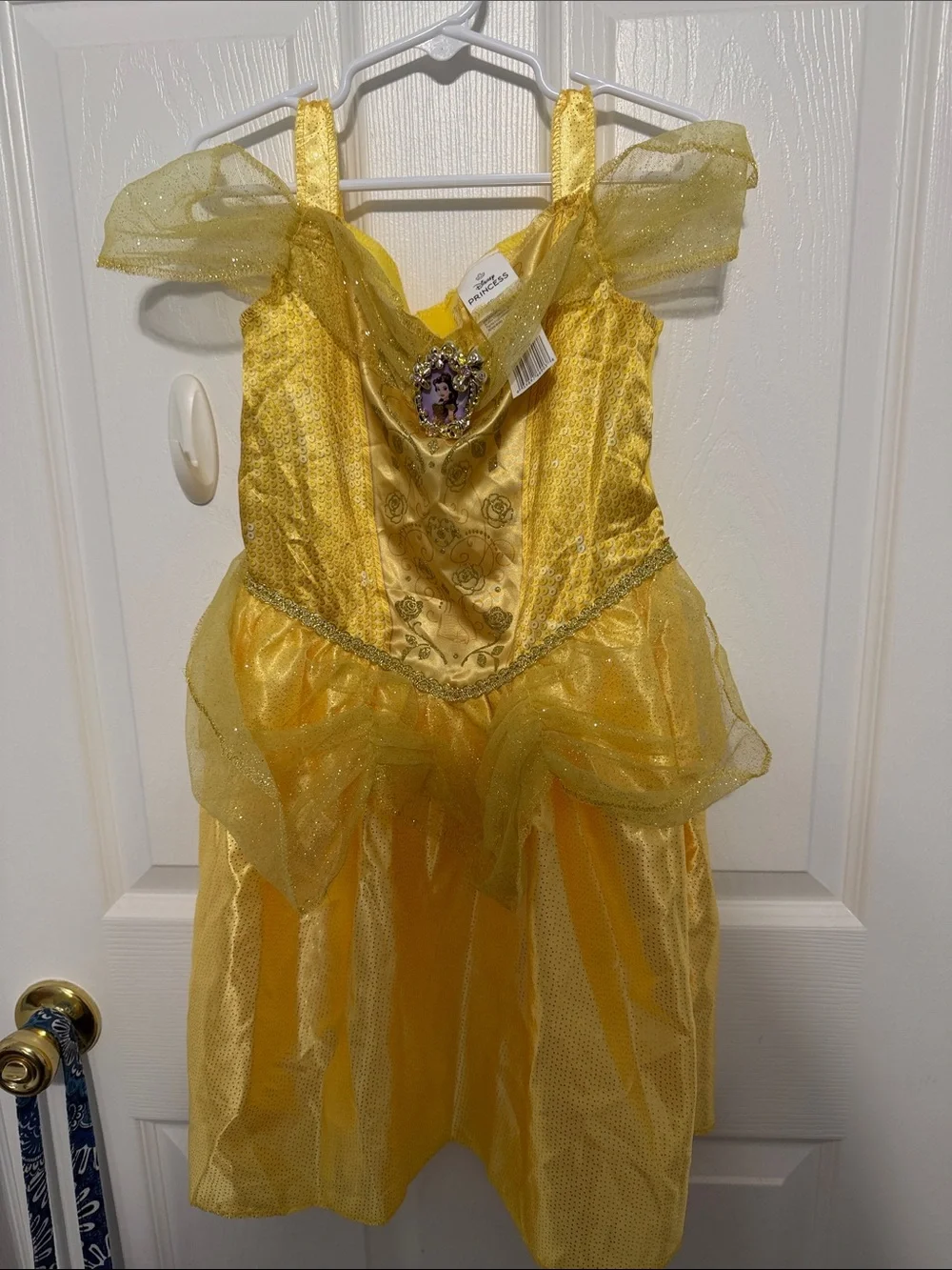 Disney children’s play wardrobe or costumes. There are nine dresses